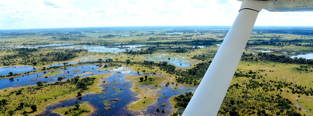 Luftaufnahme des Okavango-Deltas mit Wasserwegen und Vegetation in Botswana