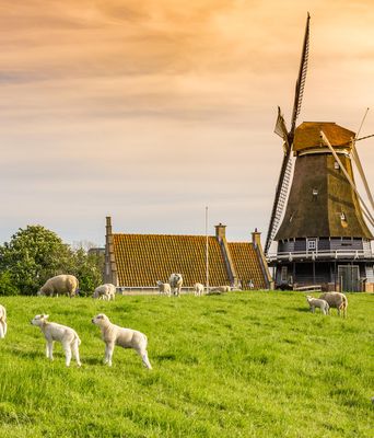 Niederlande - Nordroute