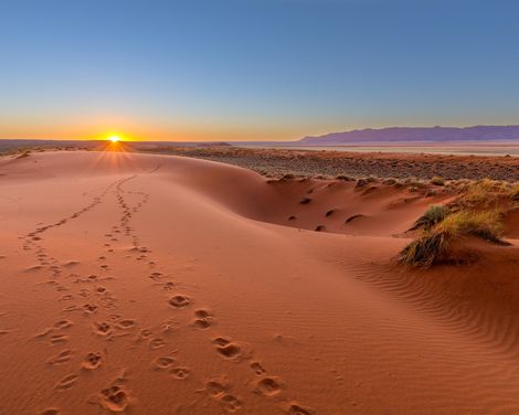Wilde Weiten. Große Momente.