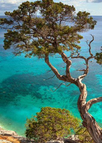 Strand auf Sardinien