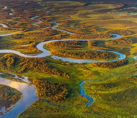 Denali Nationalpark Landschaft