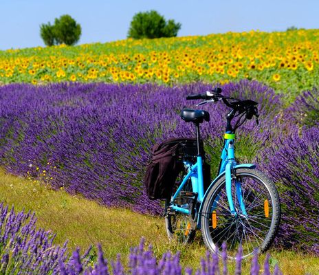 Frankreich - Provence