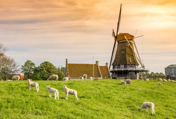 Niederlande - Nordroute