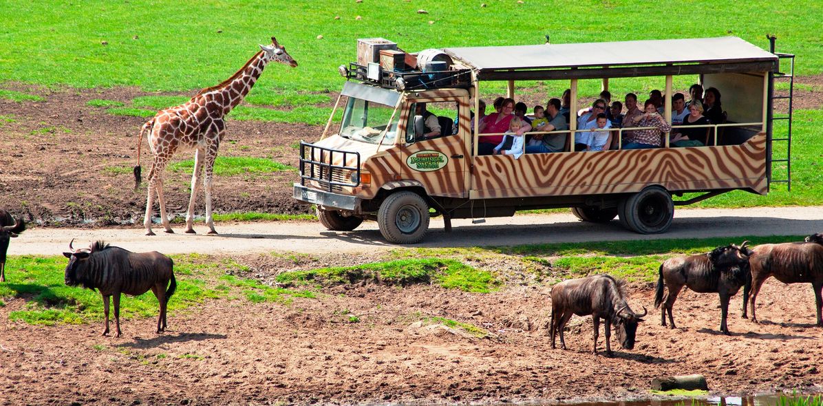 Safari im Serengeti Park in Hodenhagen