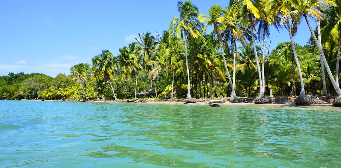 Sandstrand mit Palmen in Panama