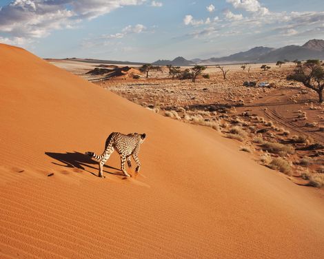 Afrikas wilde Seele erleben-0