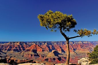 Grand Canyon Nationalpark