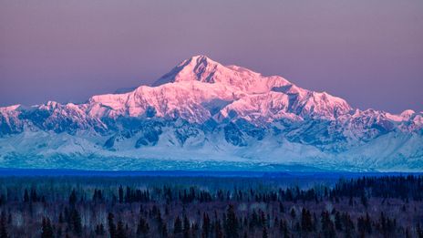 Denali-Massiv im Abendlicht mit rosa gefärbten Gipfeln