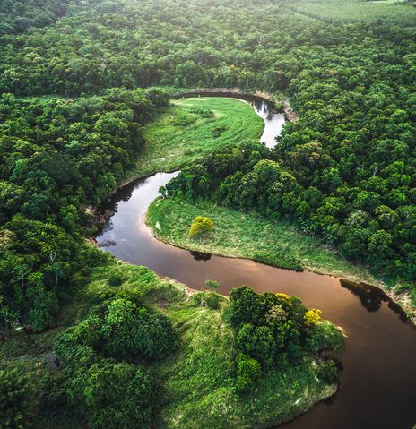 Blick auf den Amazonas-Regenwald mit gewundenem Flusslauf aus der Luft aufgenommen