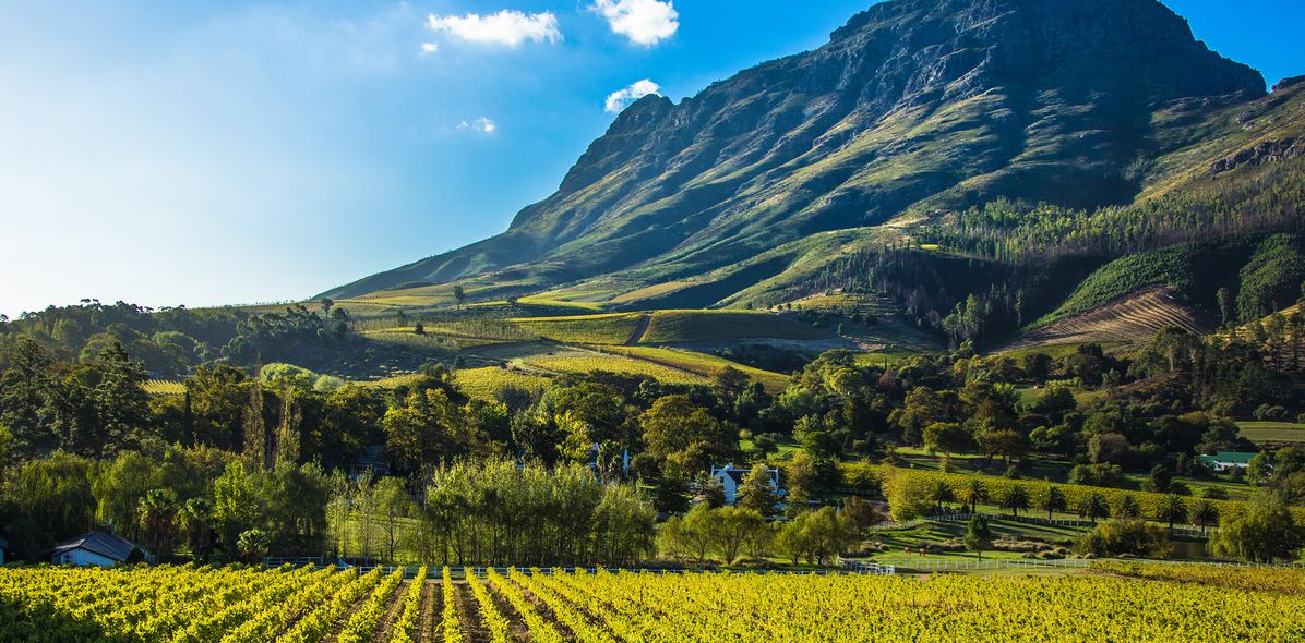 Winelands in Südafrika