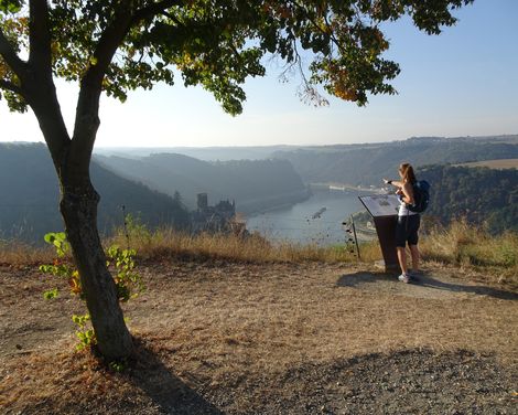 Wanderreise von Rüdesheim bis Kamp-Bornhofen-0