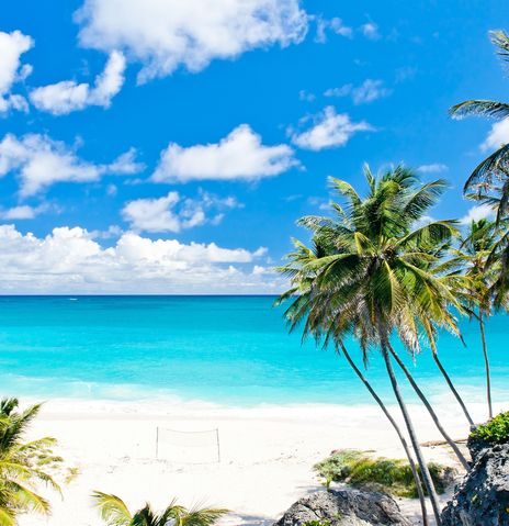 Strand Barbados mit Palmen