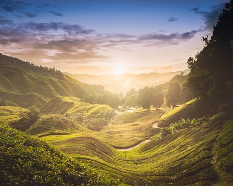 Malaysia-Rundreise von Penang bis Singapur und Kreuzfahrt mit Mein Schiff 6 ab/an Singapur-0