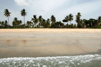 Unberührter Strand mit weißen Sand und Palmen in Nilaveli an der Ostküste Sri Lankas