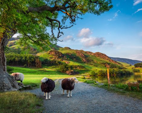 Von Liverpool bis zum Lake District