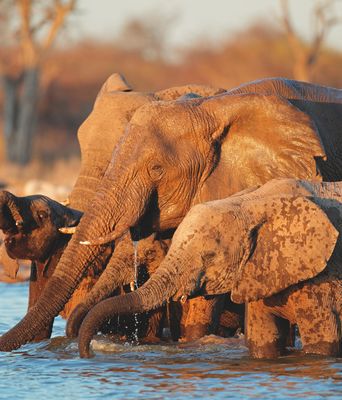 Namibia