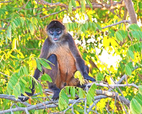 Kleingruppen-Rundreise ab/an San José-2