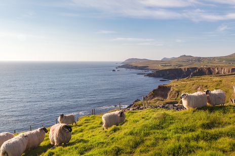 Ring of Kerry in Irland