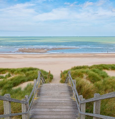Dünenlandschaft an der belgischen Nordseeküste in Flandern