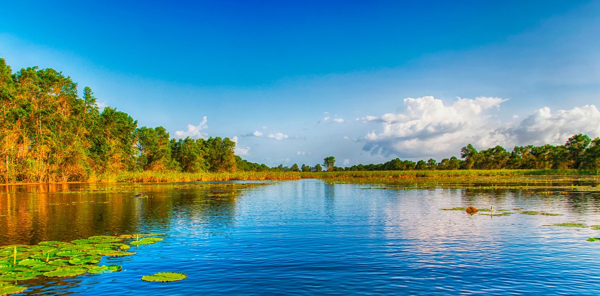 Flusslandschaft in Suriname