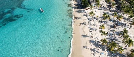 Blick auf türkisblauen Karibikstrand mit Palmen und weißem Sand