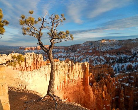 Entlang der Route 66: Von Las Vegas bis zum Grand Canyon-0