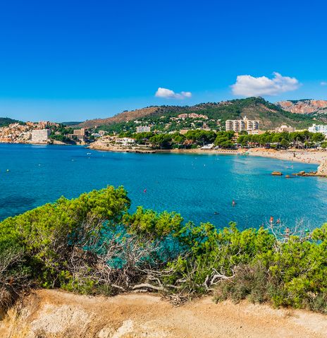 Strand auf der Insel Mallorca