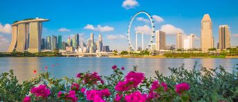 Skyline Singapur mit Blumen