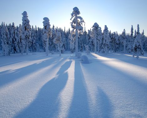 Elche, Eis und Polarkreis im Elite Stadshotellet-1