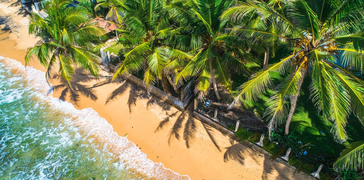 Tropischer Strand in Unawatuna mit türkisblauem Meer und Palmen an der Südküste Sri Lankas