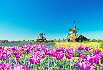 Niederlande - Südroute