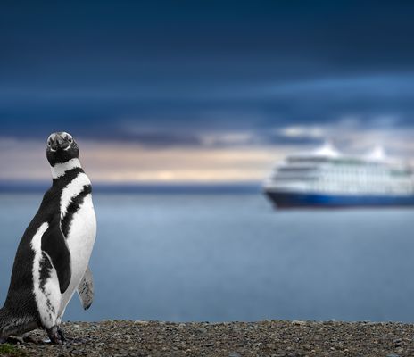 Pinguin mit Schiff