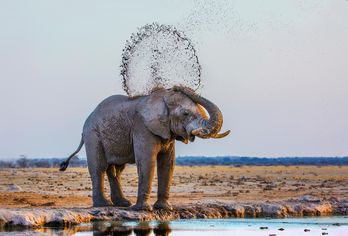 Namibia