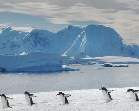 Kreuzfahrt mit der Majestic Princess ab/an Buenos Aires-0