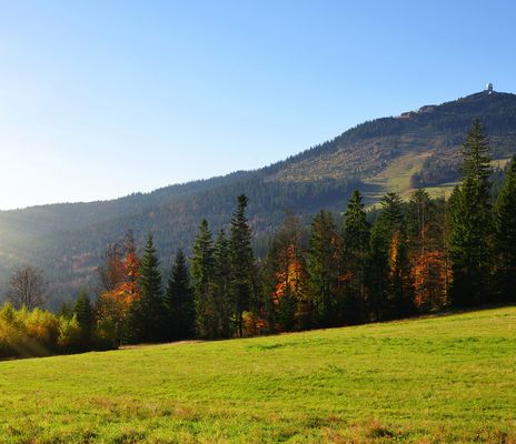 Bayerischer Wald