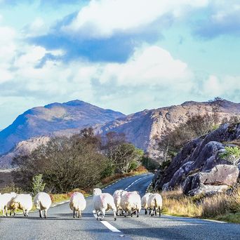 Ring of Kerry in Irland