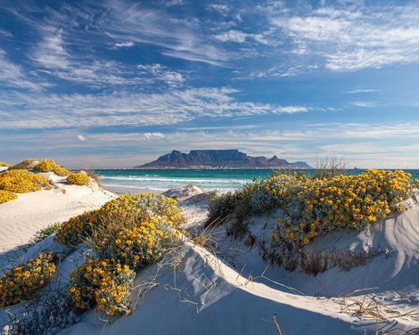 Kapstadt, Küsten & Kultur-3