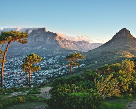 Safari, Garden Route & Zeit in Kapstadt-0