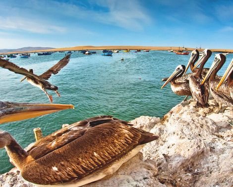 Auf den Spuren der Inka durch ein Land voller Magie-2