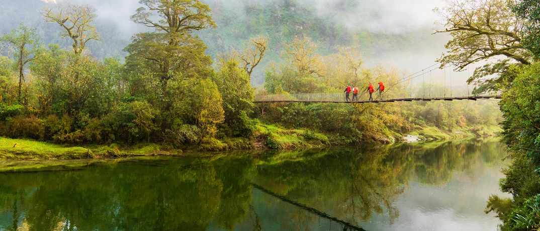 Wanderer überqueren eine Hängebrücke im Milford Sound