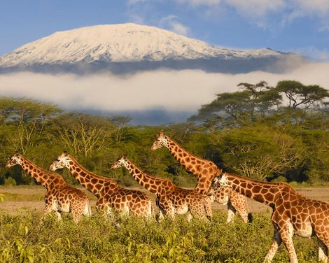 Safari, Zugfahrt & Badegenuss in kleiner Gruppe-1