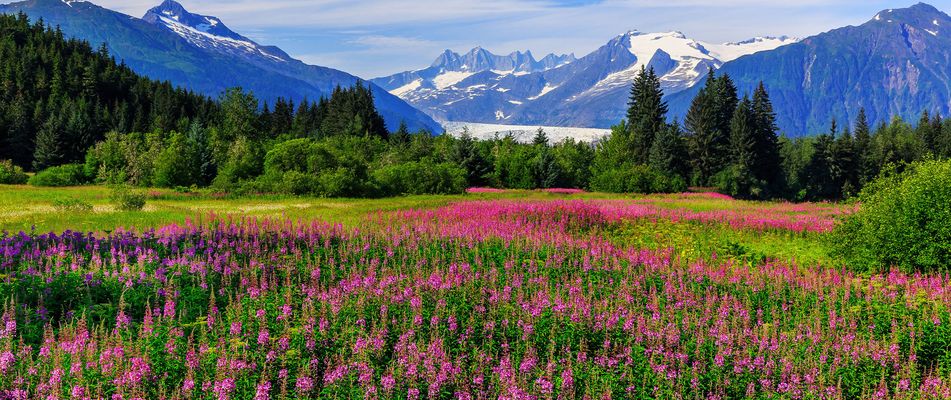 Landschaft in Alaska