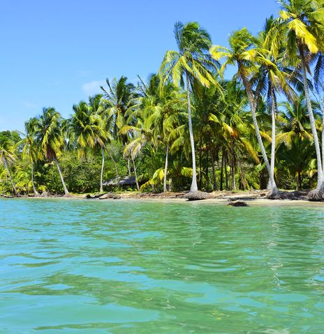 Strand mit Palmen in Panama