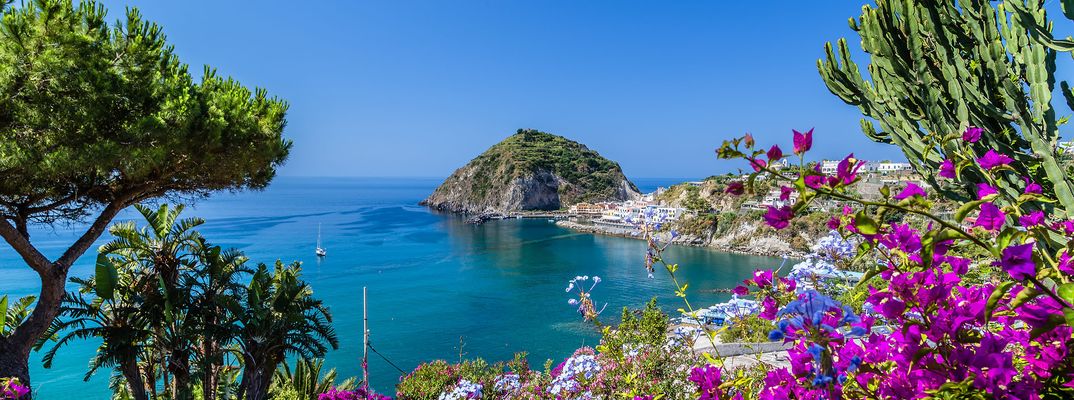 Blick auf die Küste von Ischia, umgeben von Blumen