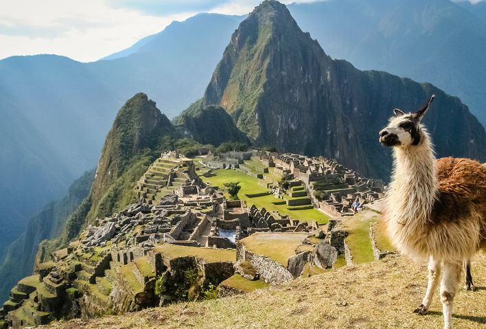 Lama vor der Kulisse des Machu Picchus in Peru