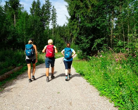 Wanderträume vom Ammersee bis Füssen-1