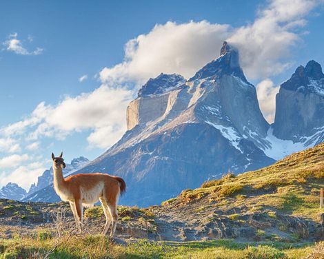 Expeditionsabenteuer ans Ende der Welt-1