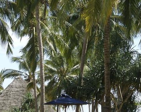 Bluebay Beach Resort and Spa-0