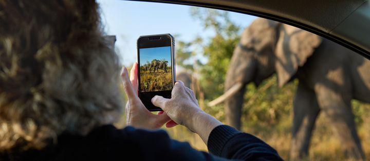 Reisende fotografiert einen einen Elefanten auf Safari