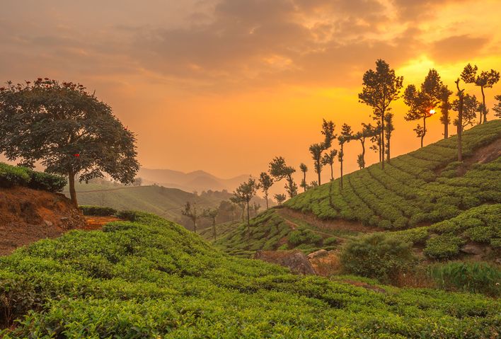 Blick auf Munnar bei Sonnenuntergang